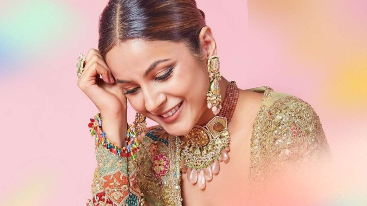 Shehnaaz Kaur Gill Wiki, Biography, Age, Height, Weight, Family, Net Worth 1 Shehnaaz Kaur Gill Wiki