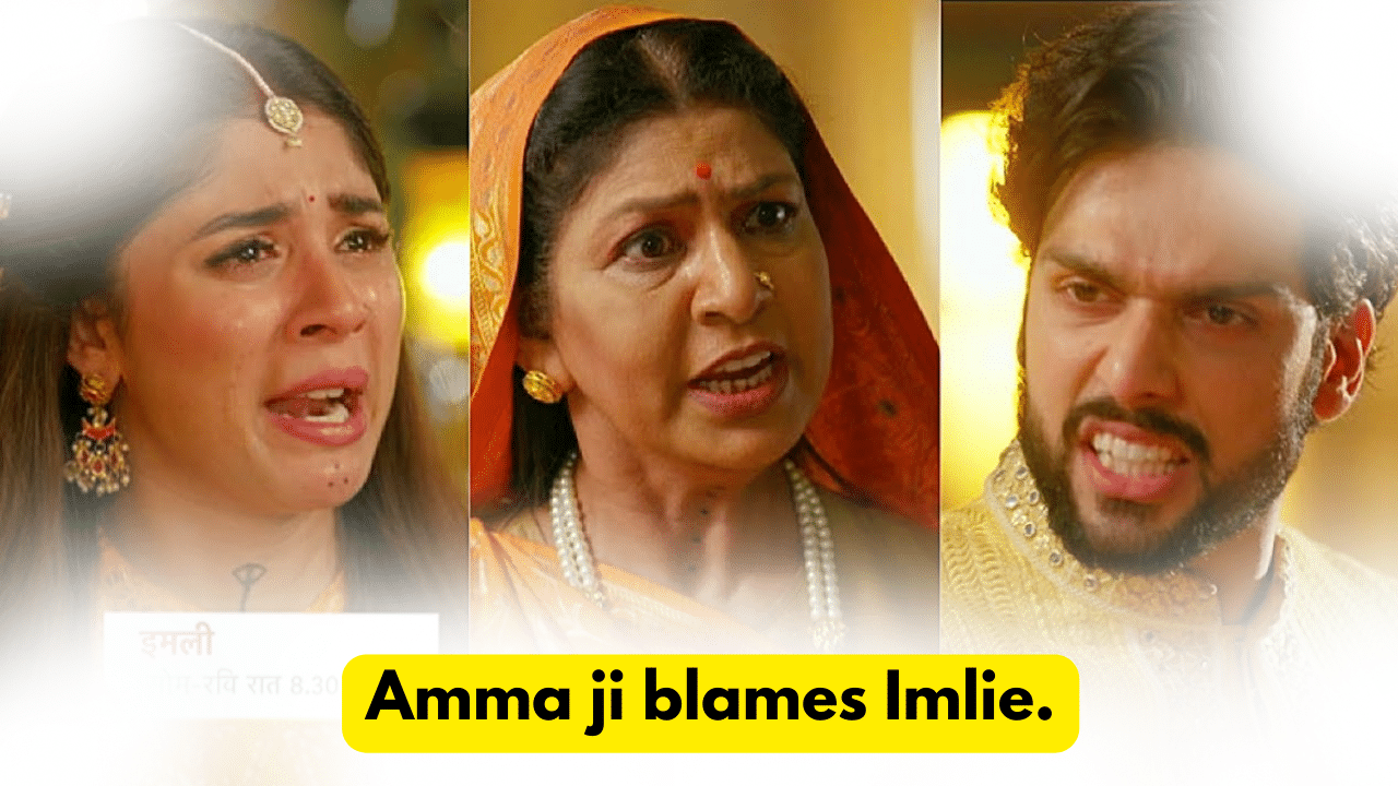 Imlie 25th November 2023 Written Update: Amma ji blames Imlie.