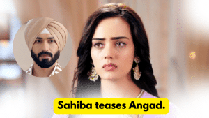 Teri Meri Doriyaann 12th November 2023 Written Update