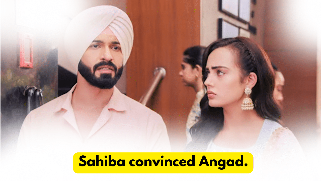 Teri Meri Doriyaann 20th November 2023 Written Update: Sahiba convinced Angad. 1 Teri Meri Doriyaann 20th November 2023 Written Update