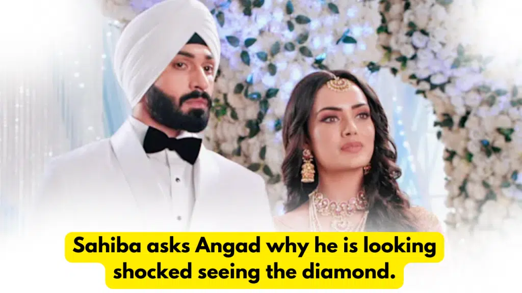 Teri Meri Doriyaann 21st November 2023 Written Update: Sahiba asks Angad why he is looking shocked seeing the diamond. 2 Teri Meri Doriyaann 21st November 2023 Written Update