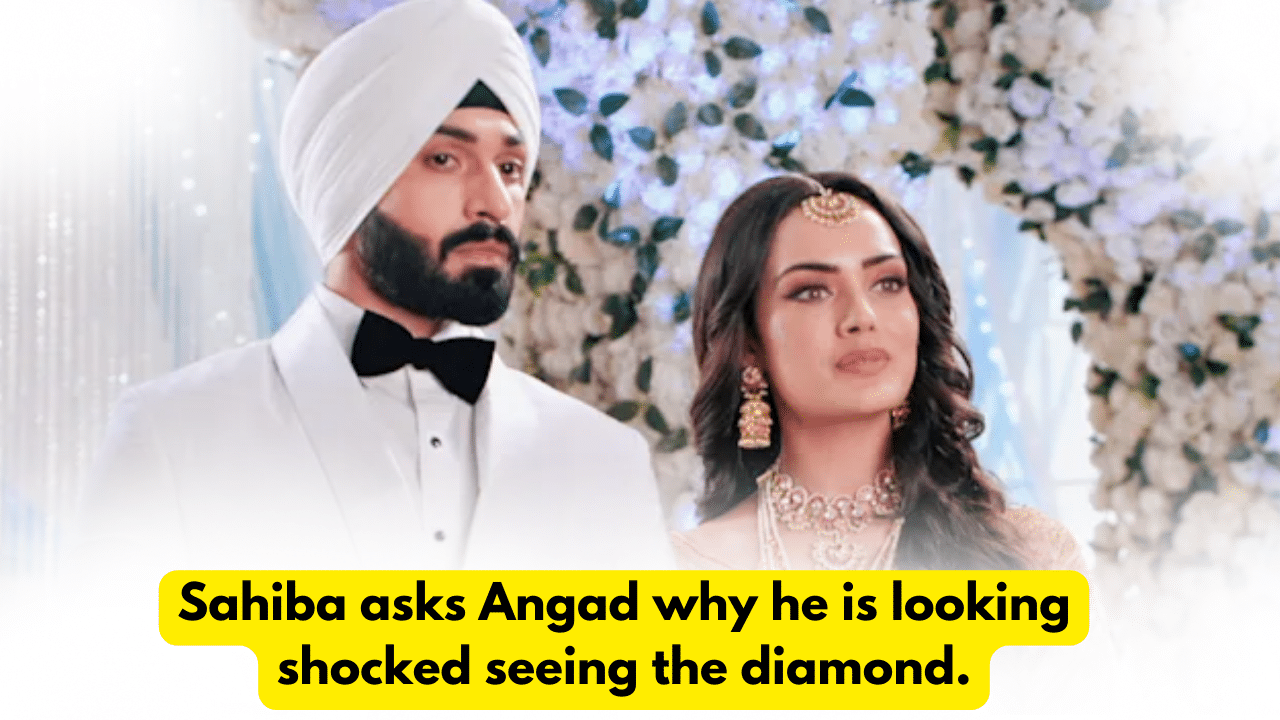 Teri Meri Doriyaann 21st November 2023 Written Update: Sahiba asks Angad why he is looking shocked seeing the diamond. 1 Teri Meri Doriyaann 21st November 2023 Written Update