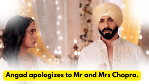 Teri Meri Doriyaann 26th November 2023 Written Update