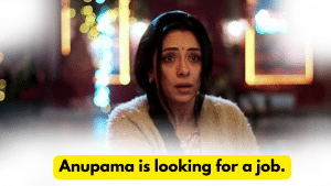 Anupama 24th December 2023 Written Update