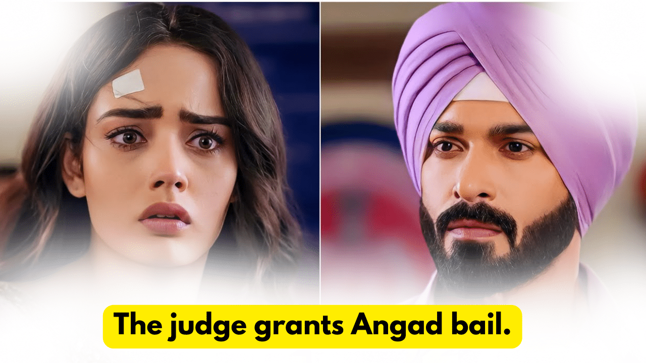 Teri Meri Doriyaann 20th December 2023 Written Update: The judge grants Angad bail. 1 Teri Meri Doriyaann 20th December 2023 Written Update