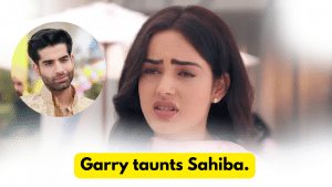 Teri Meri Doriyaann 23rd December 2023 Written Update