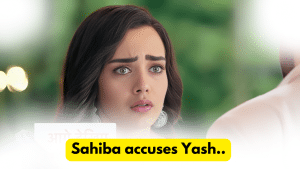 Teri Meri Doriyaann 25th December 2023 Written Update