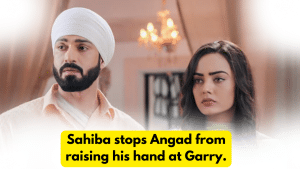 Teri Meri Doriyaann 29th December 2023 Written Update