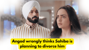 Teri Meri Doriyaann 29th January 2024 Written Update