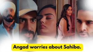 Teri Meri Doriyaann 24th February 2024 Written Update