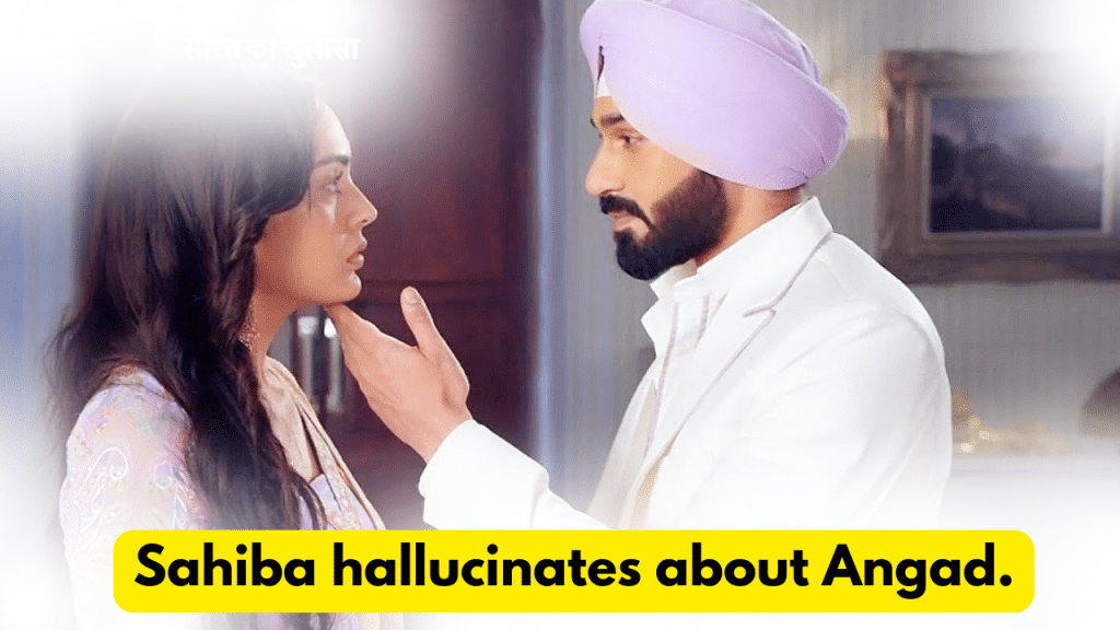 Teri Meri Doriyaann 25th February 2024 Written Update: Sahiba hallucinates about Angad. 8 Teri Meri Doriyaann 25th February 2024 Written Update