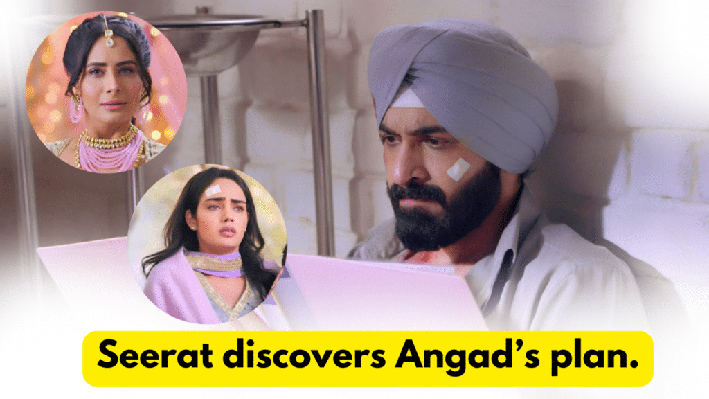 Teri Meri Doriyaann 11th March 2024 Written Update: Seerat discovers Angad’s plan. 8 Teri Meri Doriyaann 11th March 2024 Written Update