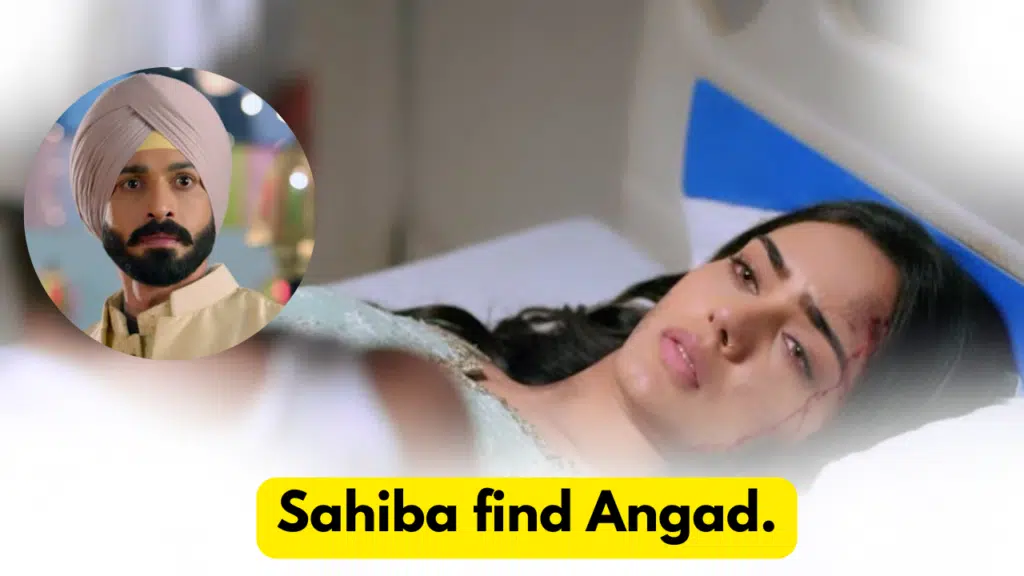 Teri Meri Doriyaann 12th March 2024 Written Update: Sahiba find Angad. 8 Teri Meri Doriyaann 12th March 2024 Written Update