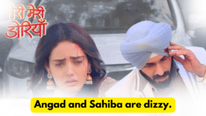 Teri Meri Doriyaann 1st March 2024 Written Update
