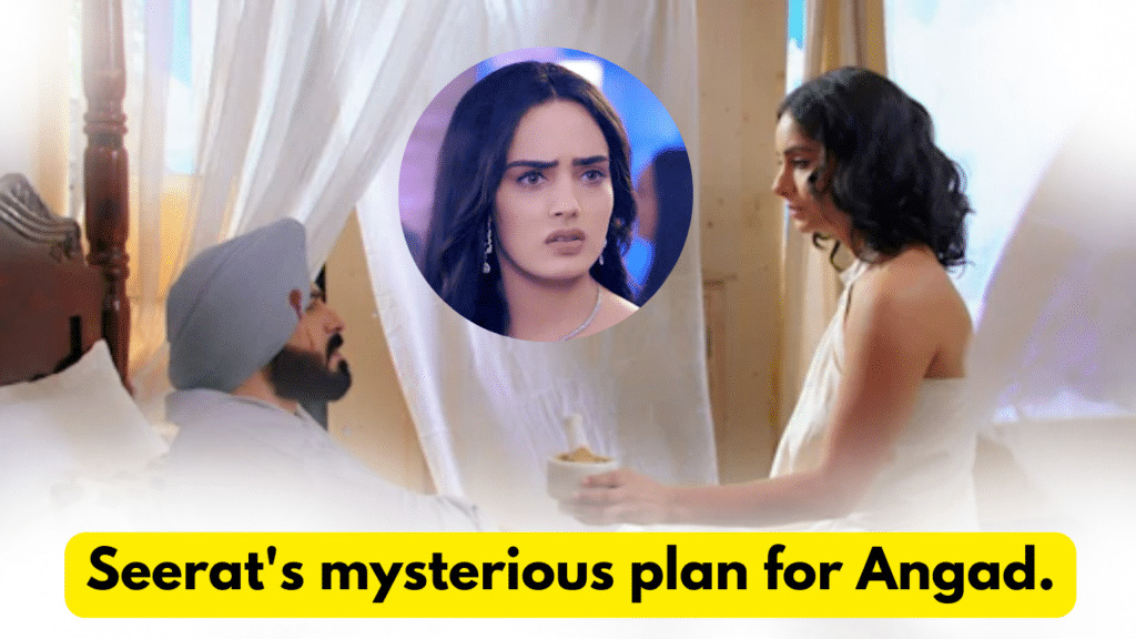Teri Meri Doriyaann 4th March 2024 Written Update: Seerat's mysterious plan for Angad. 8 Teri Meri Doriyaann 4th March 2024 Written Update