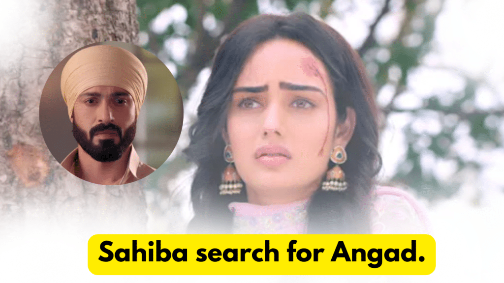 Teri Meri Doriyaann 5th March 2024 Written Update: Sahiba search for Angad. 8 Teri Meri Doriyaann 5th March 2024 Written Update