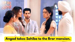 Teri Meri Doriyaann 26th May 2024 Written Update