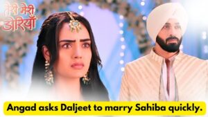 Teri Meri Doriyaann 31st May 2024 Written Update