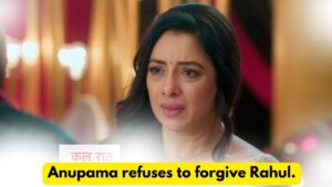 Anupama 14th June 2024 Written Update