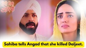 Teri Meri Doriyaann 2nd June 2024 Written Update